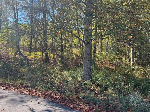 Township Road 1&2 Holland Dr, Young Harris, GA 30582