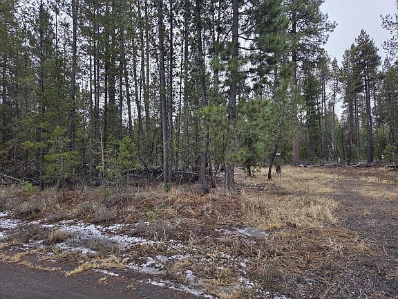 5th image of 15627 Rim Dr