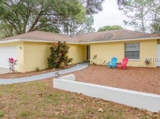 990 16th St, Palm Harbor, FL 34683