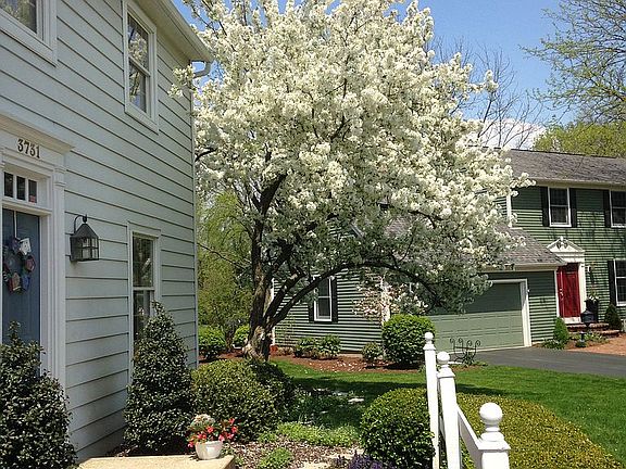 3rd image of 3731 Kennybrook Ln