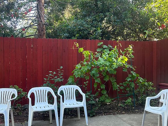 Grape vine in back yard , more chairs, perfect for entertaining family and friends