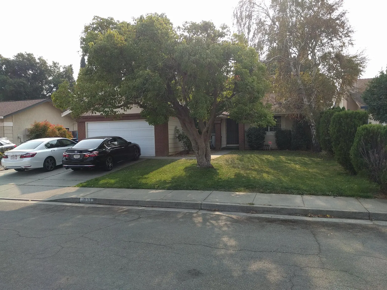 1033 Greylag Dr photo 1