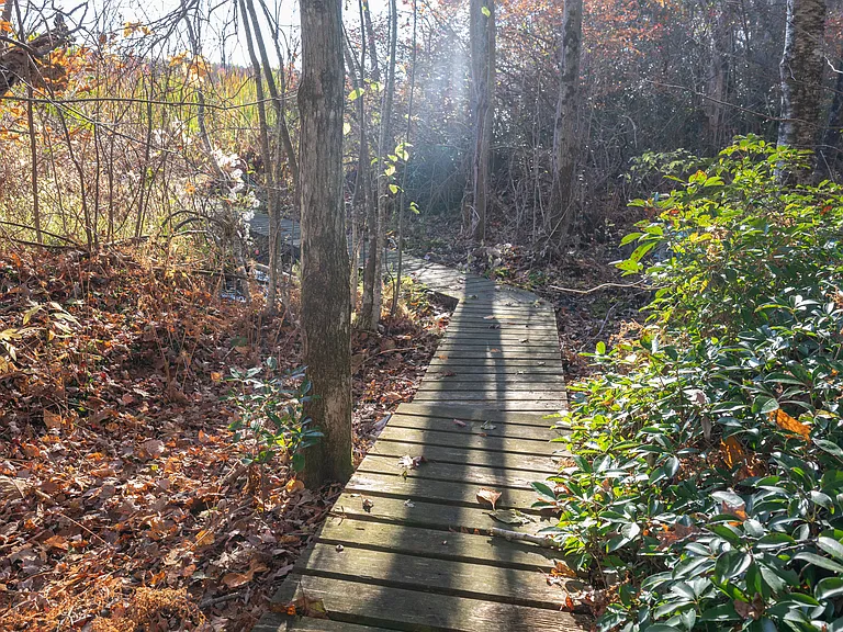 12 Park Road Ext — Photo 34