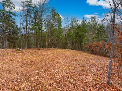 1556 Hollow Springs Way, White Pine, TN, 37890
