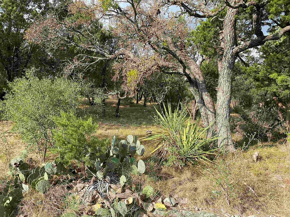 2nd image of 100 Acacia