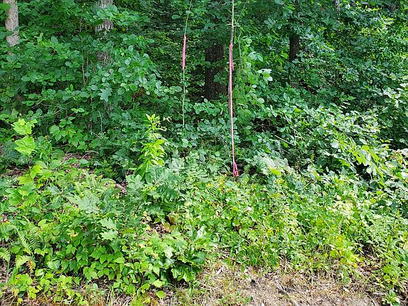 3rd image of 235 County Rd Lot 2