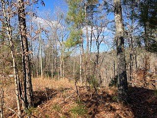 5th image of LOT 1145 Monet Dr
