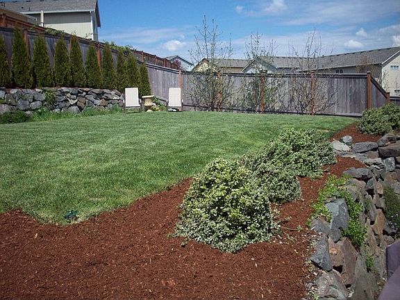 Beautifully landscaped back yard