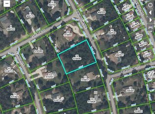 2111 Maximilian Ave, Spring Hill, FL 34609