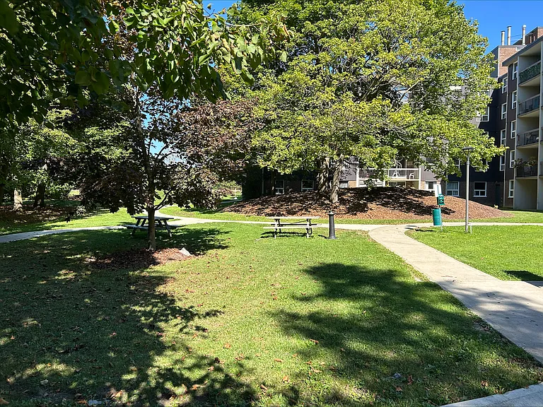 42 Campbell Ct — Photo 22