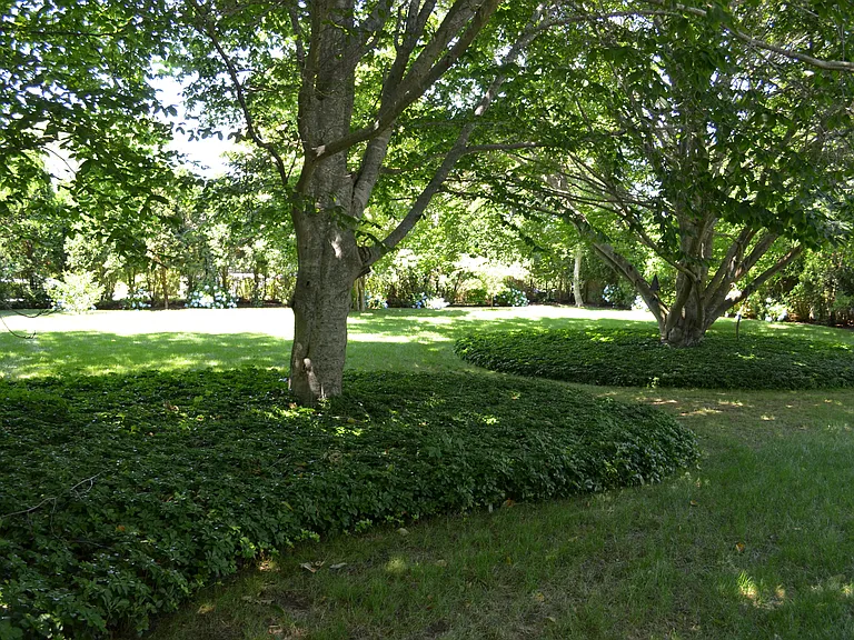 350 Bluff Rd — Photo 22