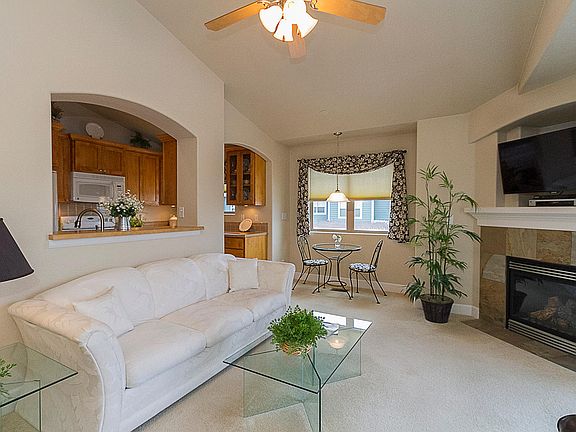 Gas Fireplace