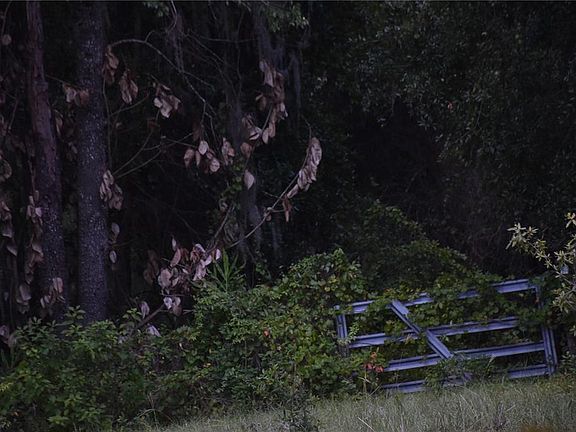 5th image of 31328 SAND LAKE DRIVE