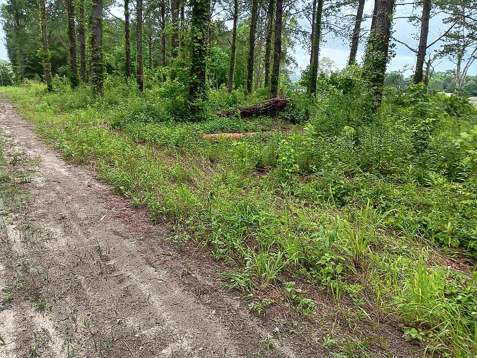 2nd image of Bozeman Rd