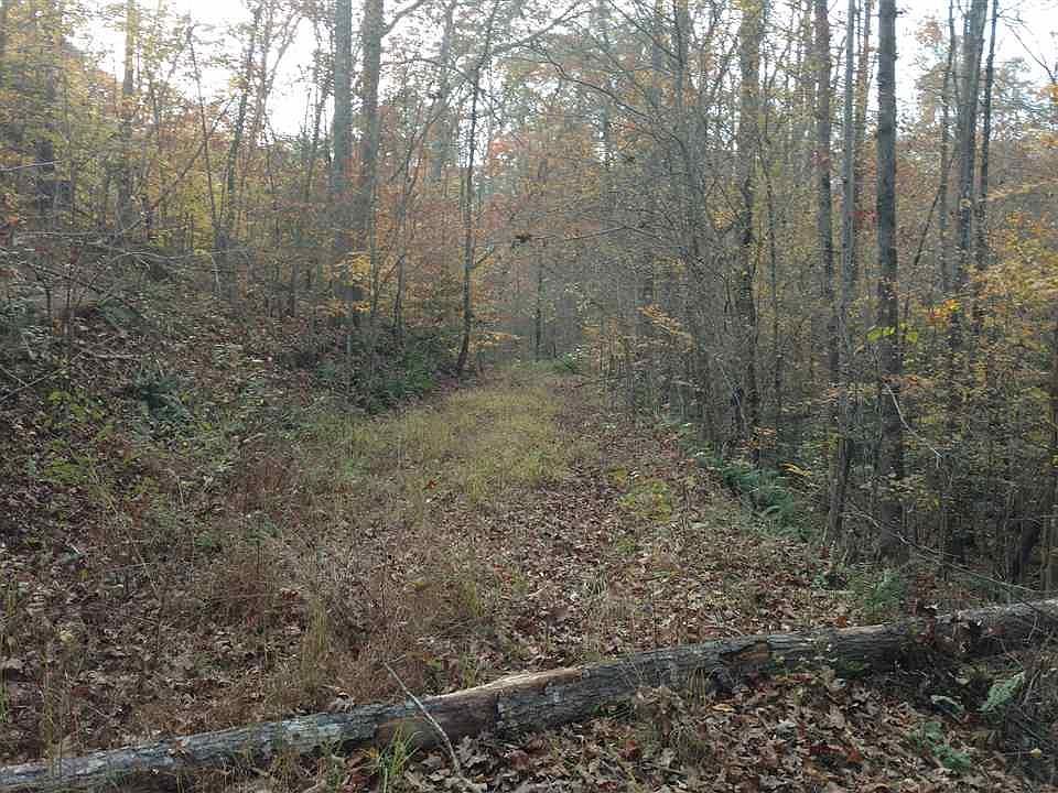 2nd image of 302 Pistol Club Rd