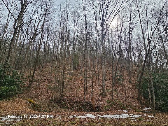 3rd image of Tbd Murray Rd