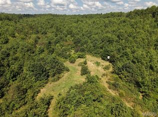 69042 State Highway 21, Ellington, MO 63638