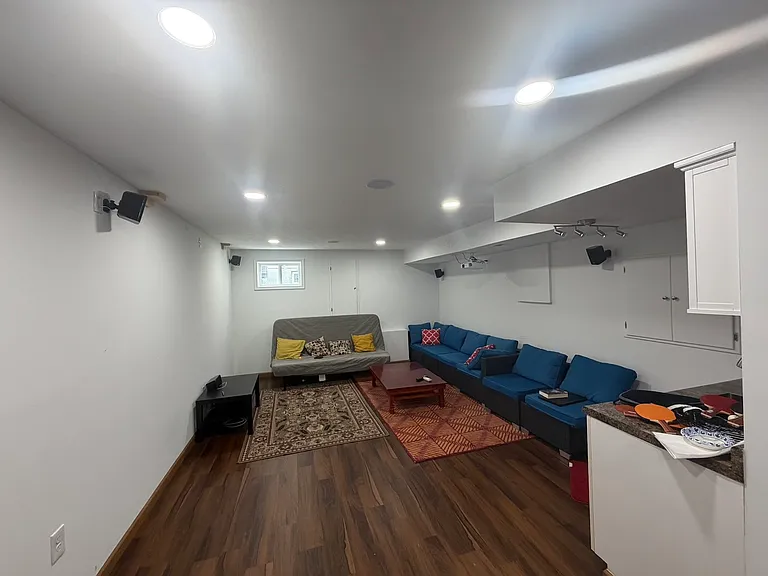 Basement Living Room