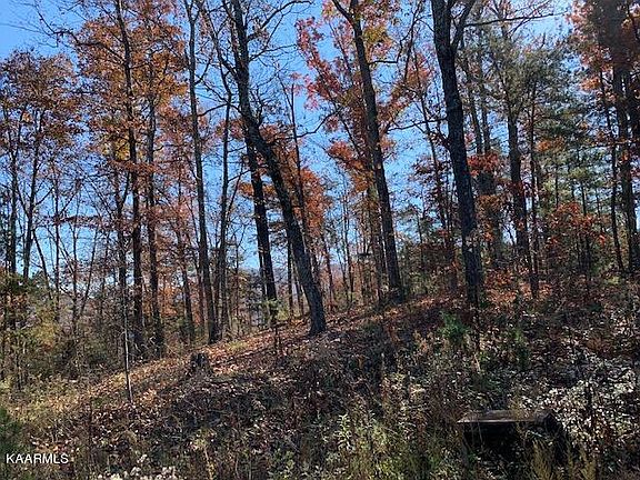 4th image of Dogwood Dr
