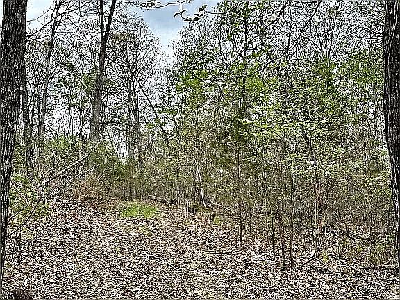 4th image of 0 Stone Ridge Rd