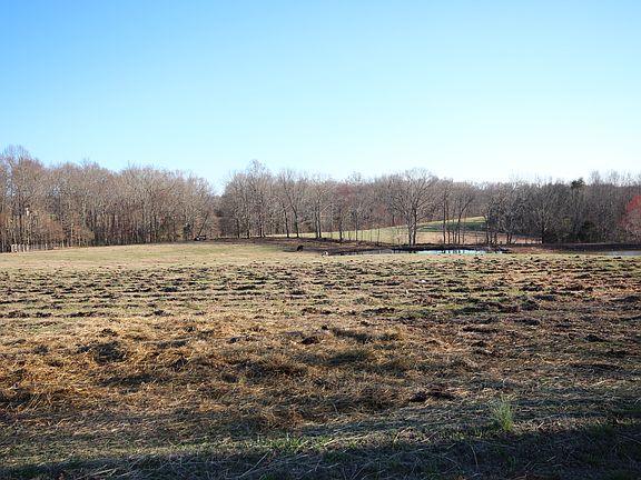 Gorgeous, level pasture