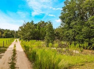 36221 Apiary Rd, Grand Island, FL 32735