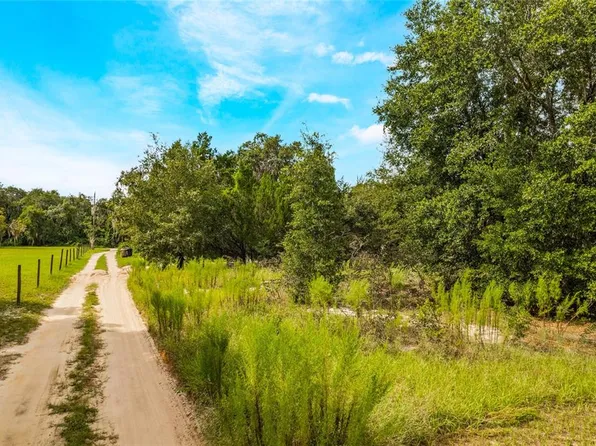 36221 Apiary Rd, Grand Island, FL 32735
