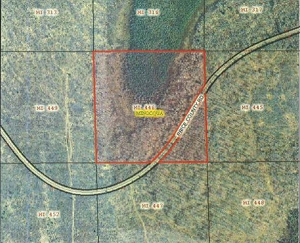 2nd image of MI446 On Price County Rd