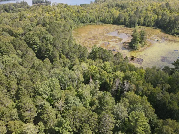 N Big Island Trl, Marcell, MN 56657