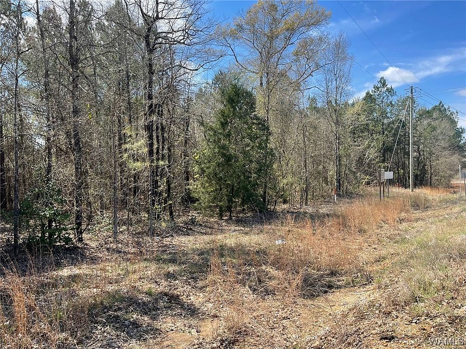 2nd image of 6 Watermelon Rd