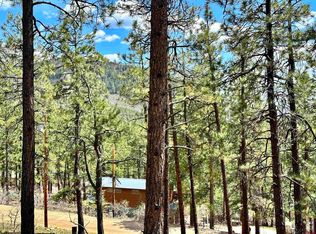 107 Antelope Dr, Bayfield, CO 81122