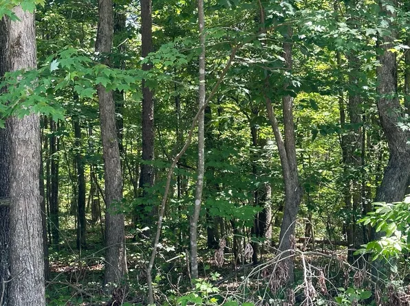 189 Kyuga Dr Unit 189, South Pittsburg, TN 37380