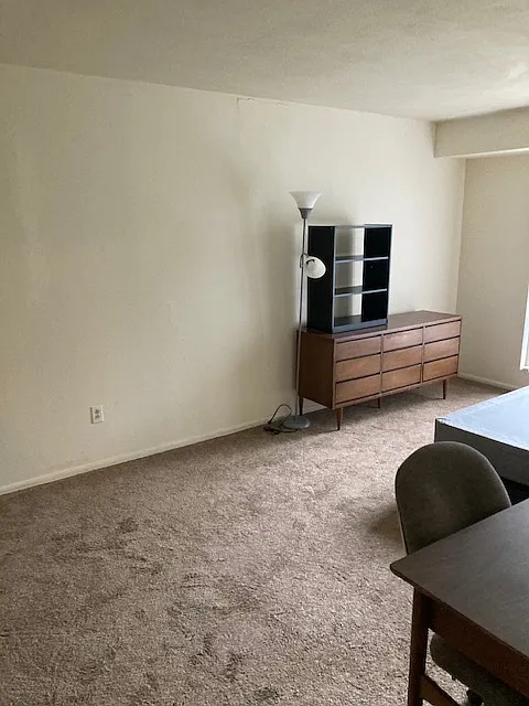 3 & 4 Bedroom Apts. — Photo 4