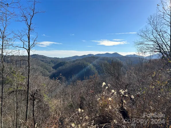 1380 Little Pine Rd, Marshall, NC 28753