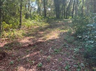 ELAINE DRIVE LOT 12, WEBSTER, FL 33597