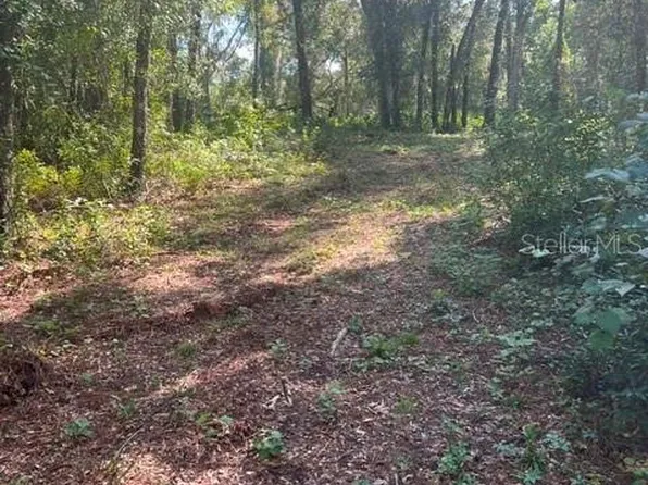 ELAINE DRIVE LOT 12, WEBSTER, FL 33597