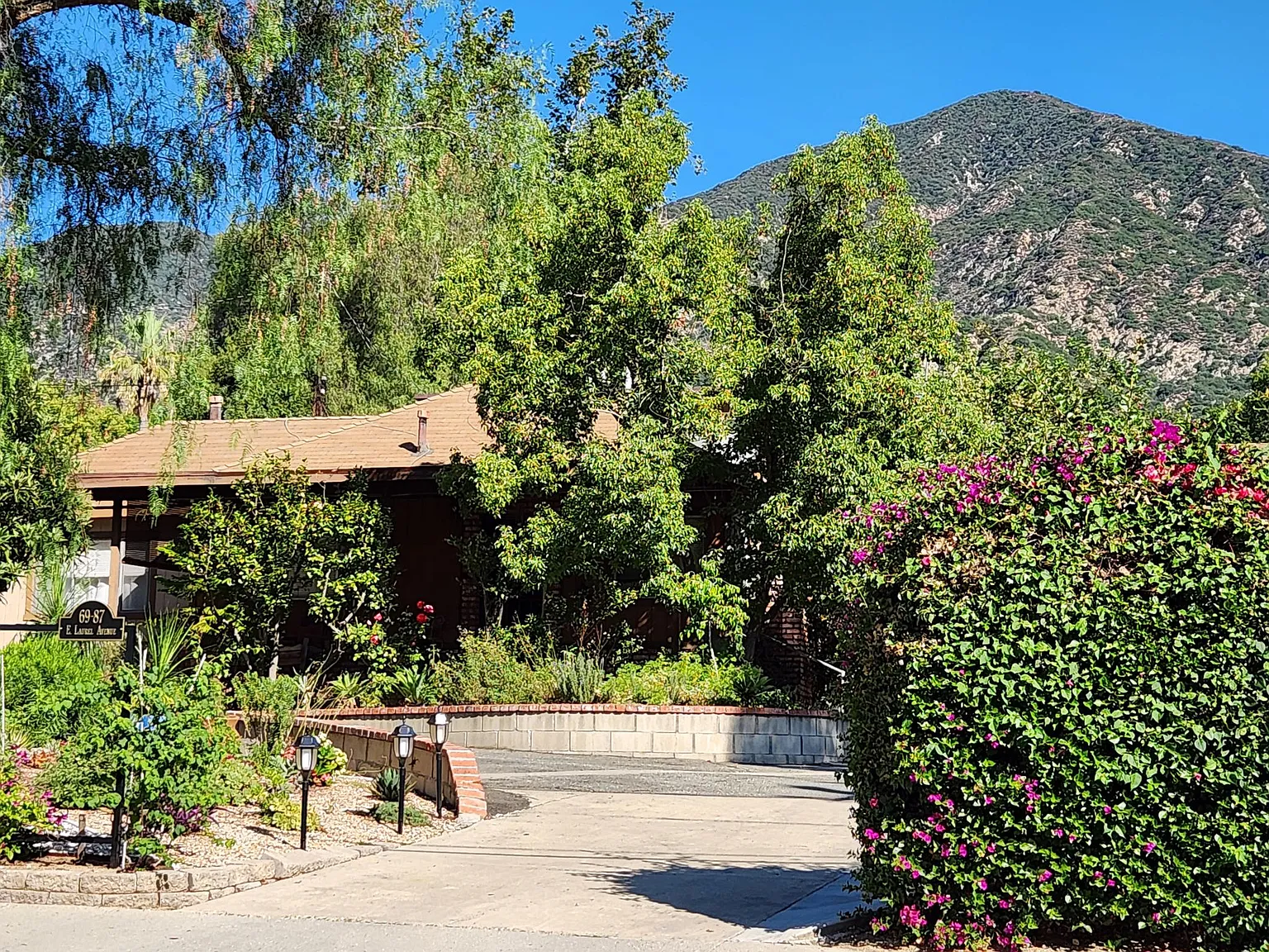 1 bed, 570 sqft, $2,300 — Photo 1