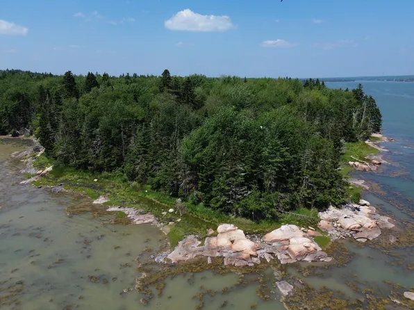 M7 L 5,6 Pineo Point Road, Harrington, ME 04643