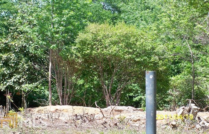 2nd image of 2403 Allen Rd