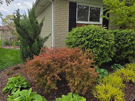 5th image of 41304 Clairpointe St