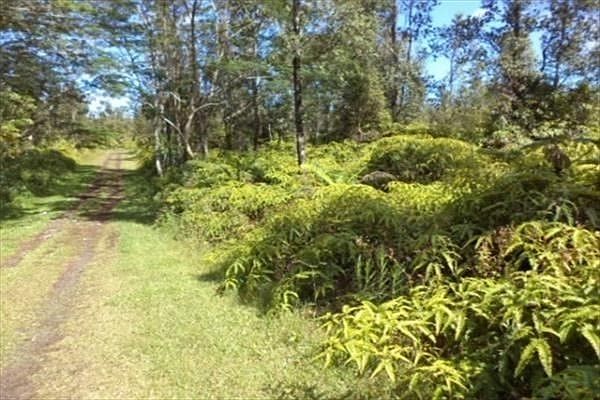2nd image of Kauai Rd