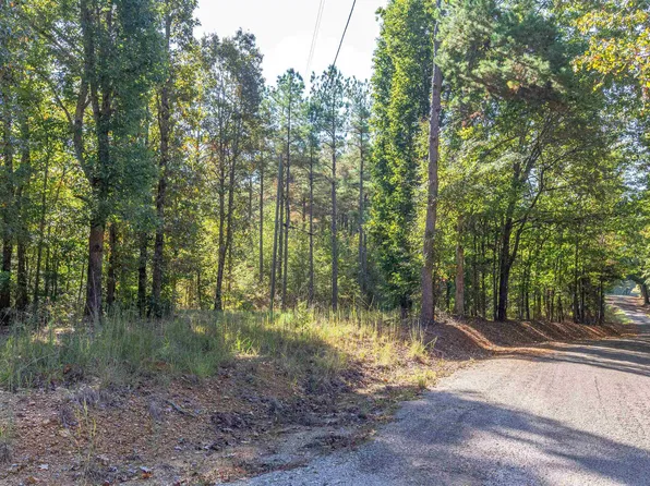 917 Tull Garner Rd, Bethel Springs, TN 38315