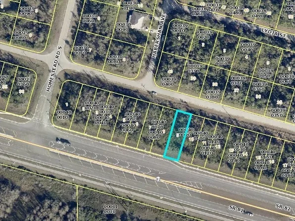 2716 Meadow Rd, Lehigh Acres, FL 33974