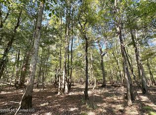 1 Evans Rd, Carthage, MS 39051
