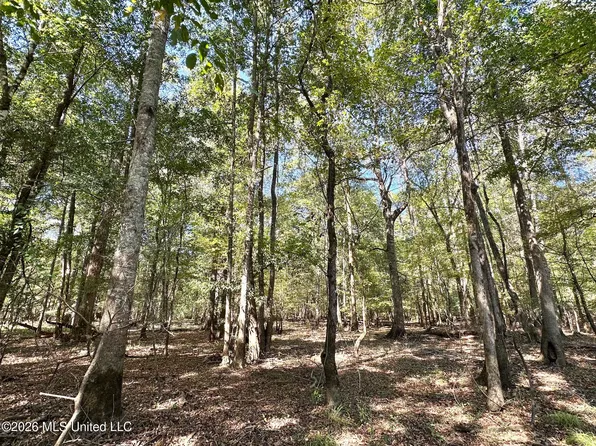 1 Evans Rd, Carthage, MS 39051