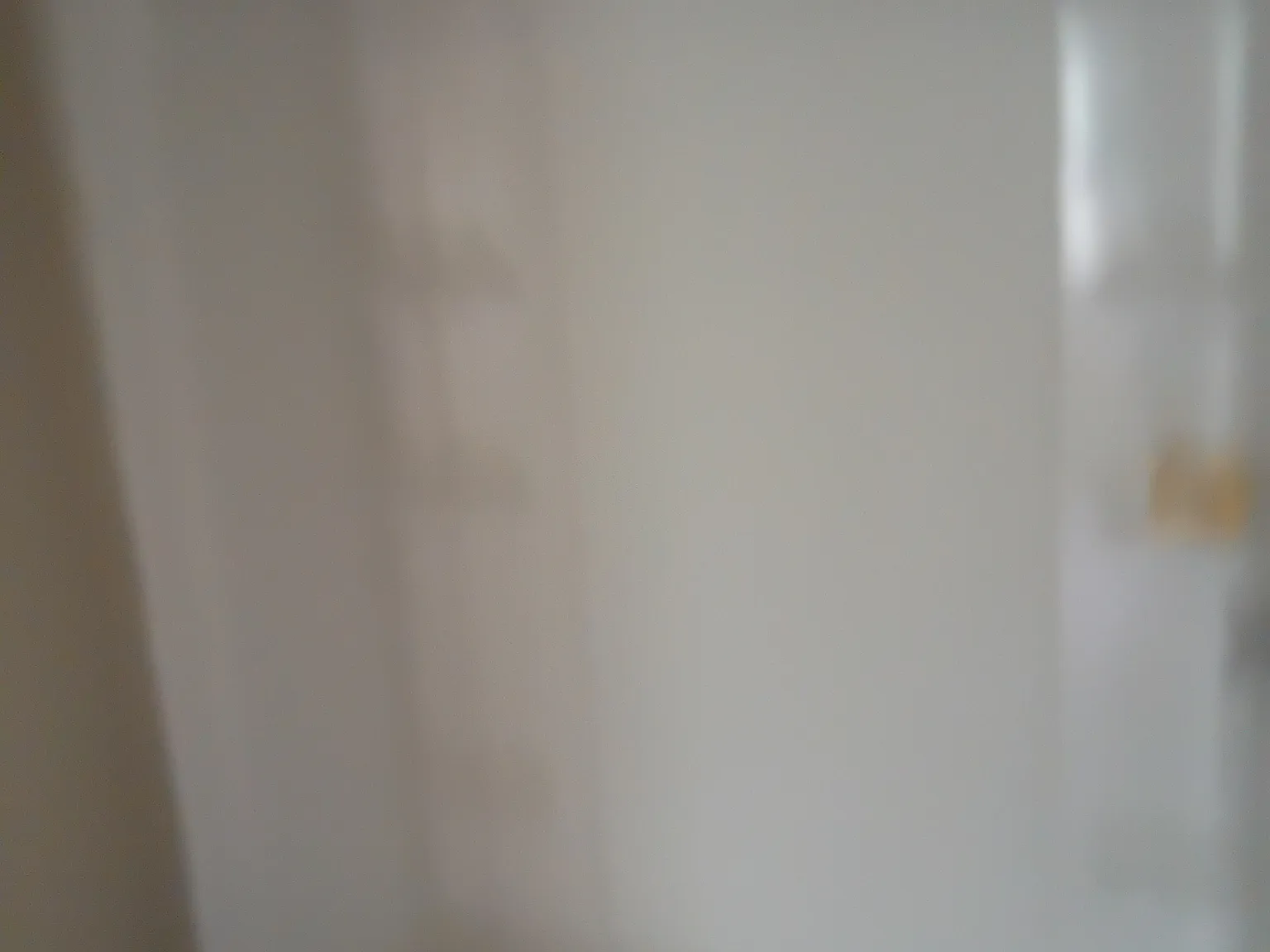 3 bed, 924 sqft, $1,000 — Photo 4