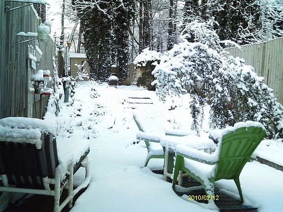 back deck looking toward the back of the yard
