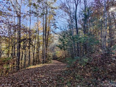 30-31 Birch Tree Cv, Franklin, NC, 28734