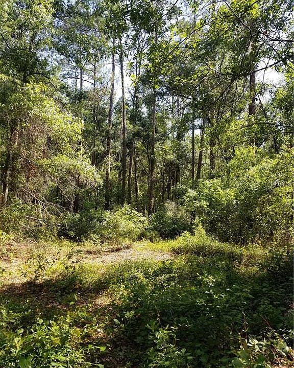 1st image of 1515 Creekwood Run