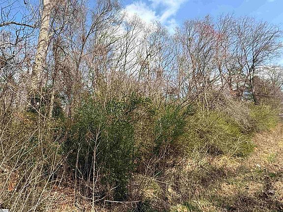 2nd image of 0 McCall Rd